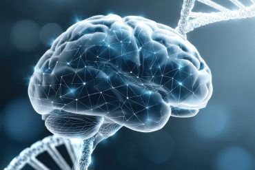 Mild cognitive impairment linked to lower mindfulness and weaker brain connections for emotion regulation