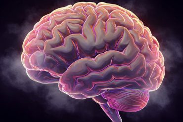 Psychedelics may buffer against PTSD, finds new study of survivors of Nova music festival massacre