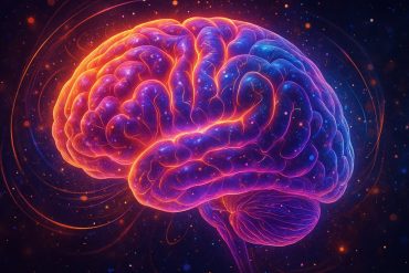 Flipping two atoms in LSD turned it into a powerful treatment for damaged brain circuits