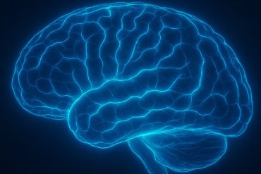 A common parasite not only invades the brain — it can also decapitate human sperm