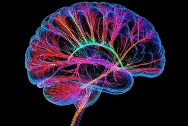 Sleep deprivation reduces attention and cognitive processing capacity