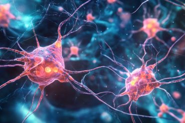 Reading fiction fights loneliness and builds a healthier brain