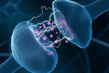 Common sleep aid blocks brain inflammation and tau buildup in Alzheimer’s model
