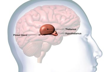 Study links moderate awe in psychedelic ayahuasca journeys to better well-being