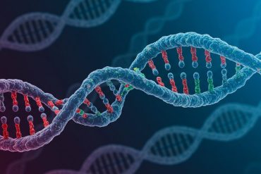 Cortisol and testosterone may influence how teens navigate trust in social situations