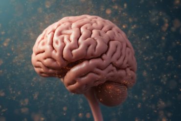 Vagus nerve signals influence food intake more in higher socio-economic groups
