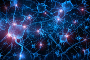 Genetic factors may influence how well exercise buffers against childhood trauma