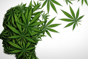 Psychedelic retreats show promise in easing depression, PTSD, and reintegration struggles among veterans