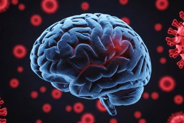 Dopamine’s stronghold is the striatum, not the cortex, brain imaging study suggests