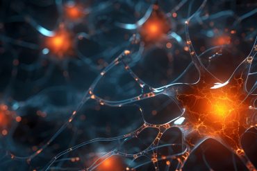 Caffeine increases brain complexity during sleep, study shows