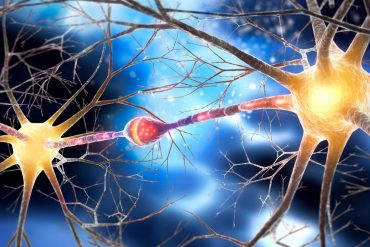 Can it predict depression risk in the elderly?
