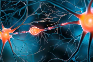 People with higher cognitive ability have weaker moral foundations, new study finds