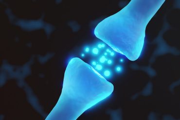Vagus nerve signals influence food intake more in higher socio-economic groups
