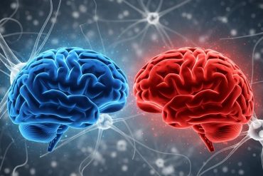 New study reveals how MDMA rewires serotonin and oxytocin systems in the brain
