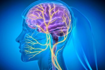 New study reveals how MDMA rewires serotonin and oxytocin systems in the brain