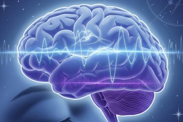 Prenatal BPA exposure linked to schizophrenia-like brain changes